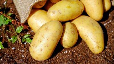 A photograph of Oh So Spuds - Mobile Snacks in Hinckley