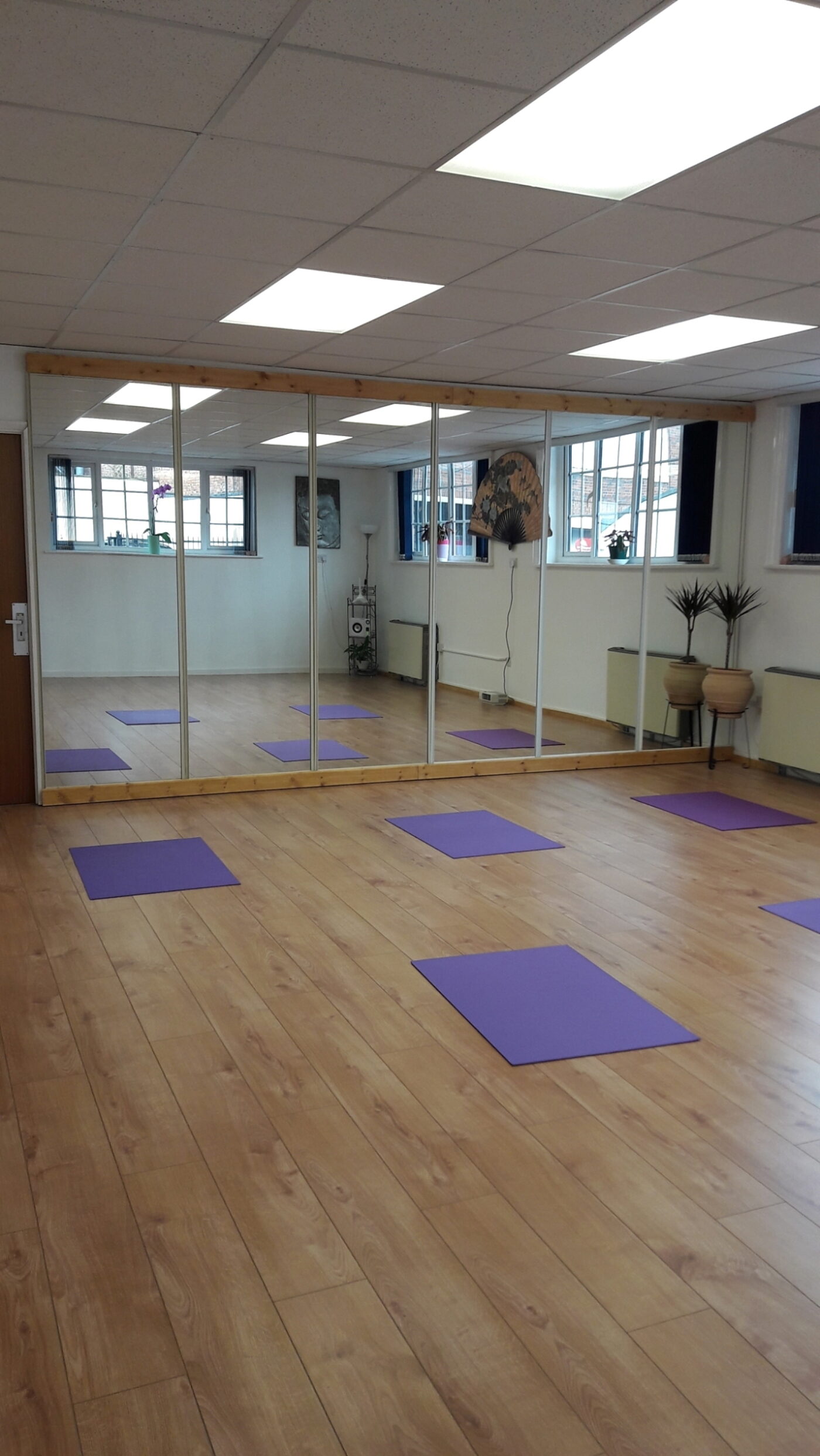 Tai Chi Qigong & Holistic Health photo