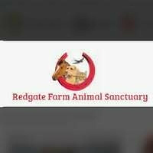 Redgate Farm Animal Sanctuary - Charity Shop company logo