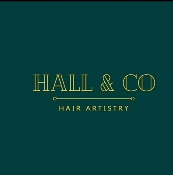Hall & Co Hair Artistry company logo