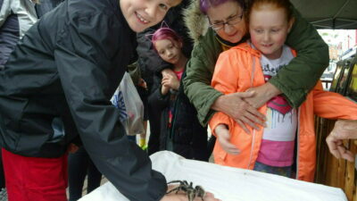 Hinckley BID's Summer of Fun - Dr Zoolittle and Pets promotional image