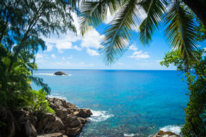 Pexels beach tropical scene free stock photo