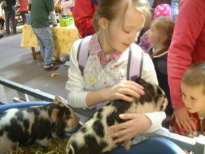 Hinckley BID brings another FREE Summer of Fun to Hinckley Town Centre! photograph